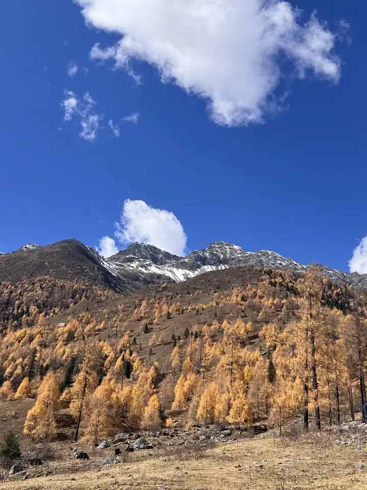 川西四姑娘山