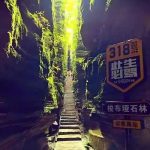 恩施梭布垭石林景区