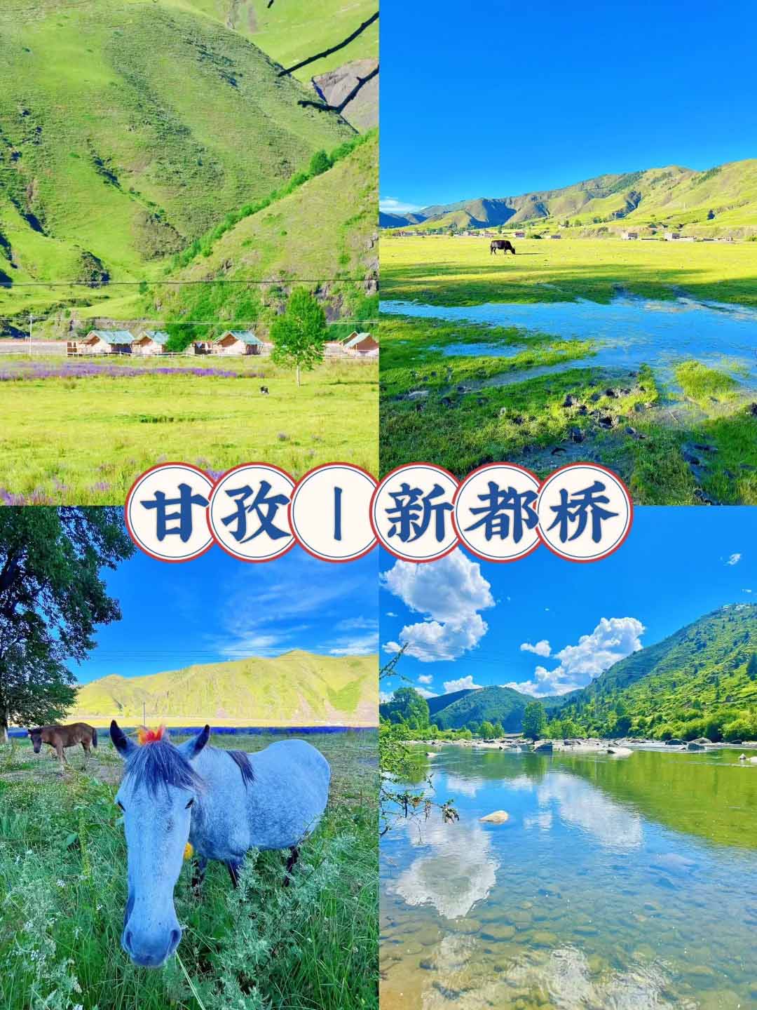 新都桥_走进油画里的世界