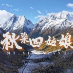 秋染四姑娘
