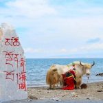 青海湖