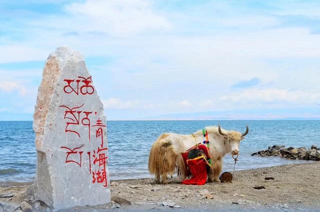 青海湖