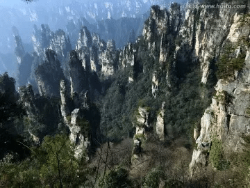 张家界：亿年峰林筑仙境，一步一景入画来