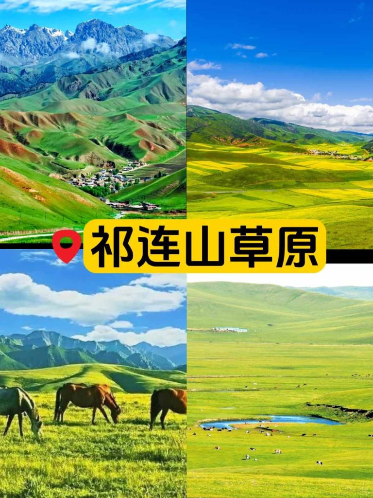 西北大环线祁连山草原
