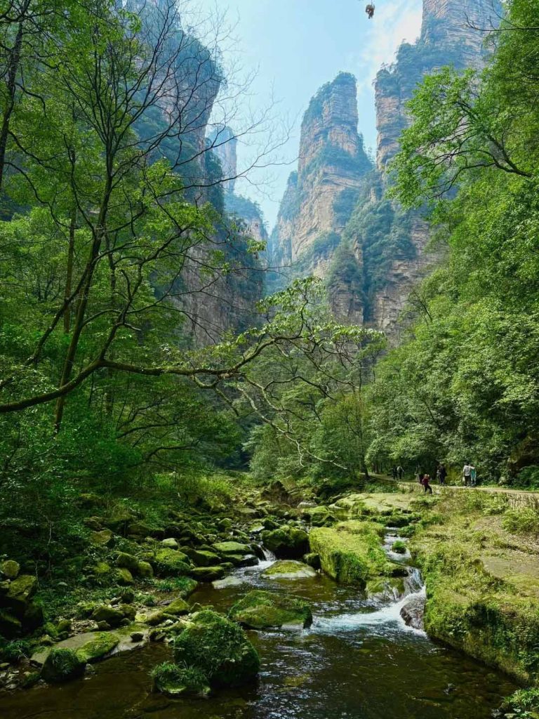 张家界森林公园春天