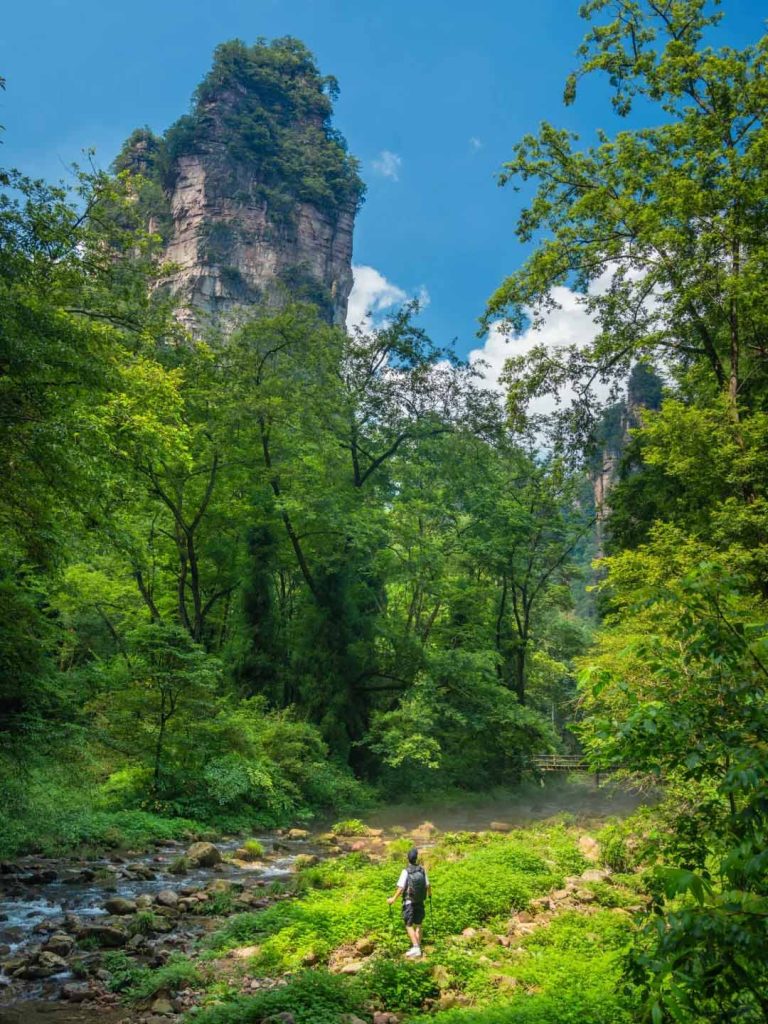 张家界森林公园春天