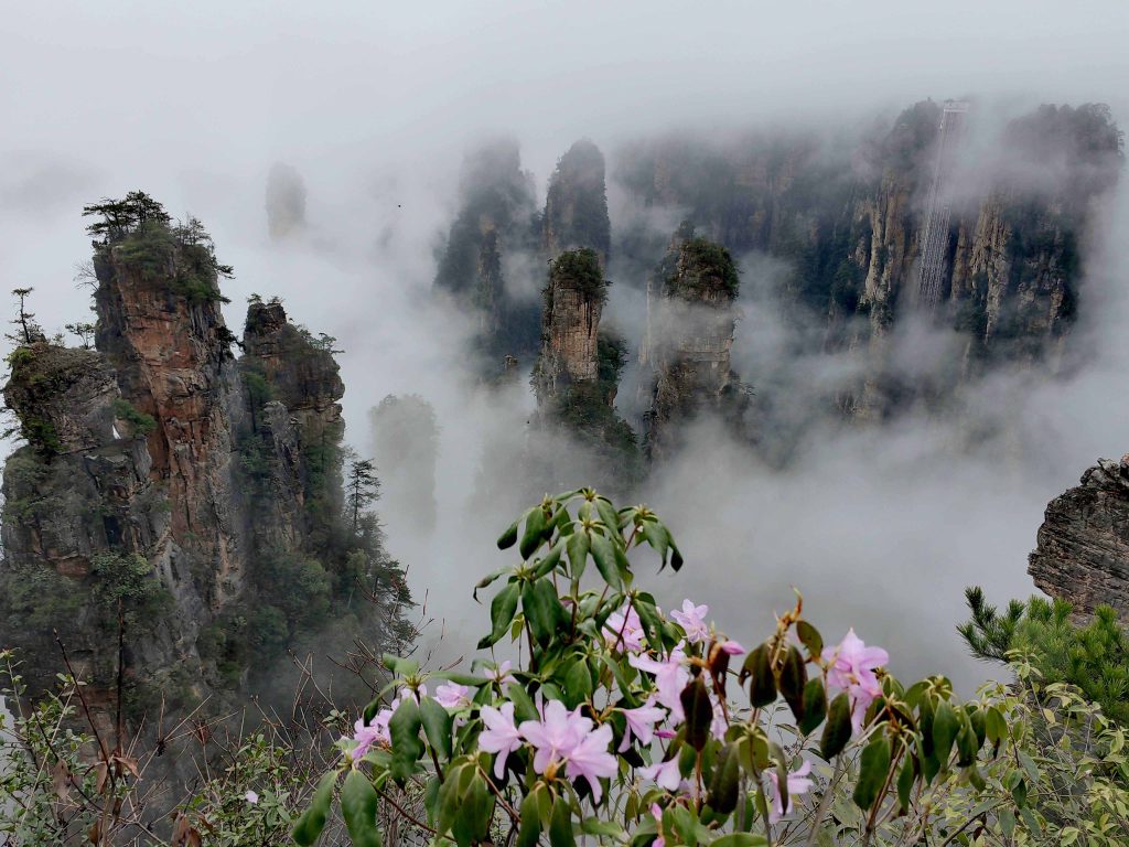 张家界春天云海