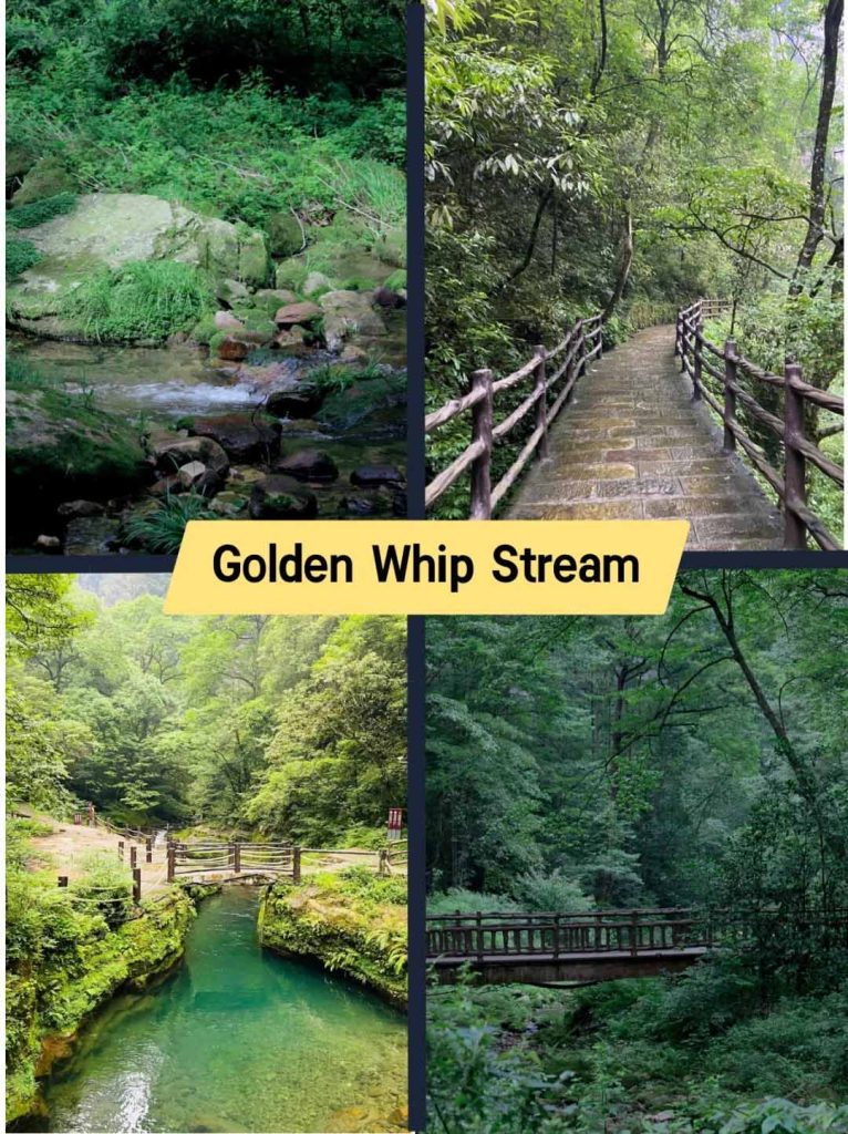 Zhangjiajie Forest Park Golden Whip Stream