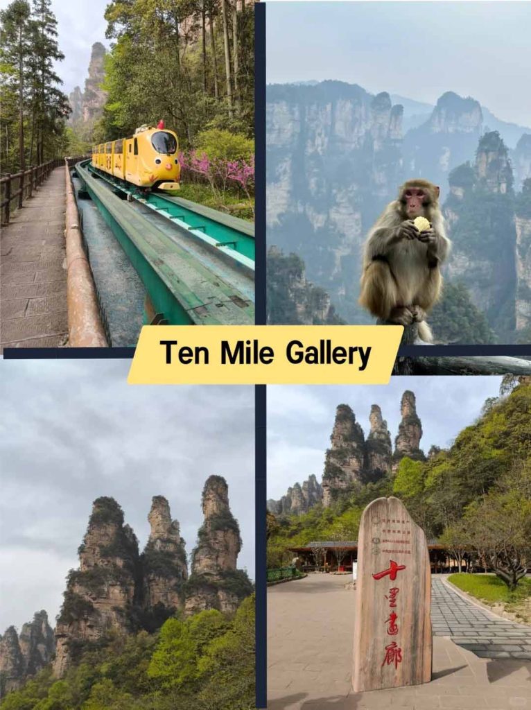 Zhangjiajie Forest Park Ten mile gallery