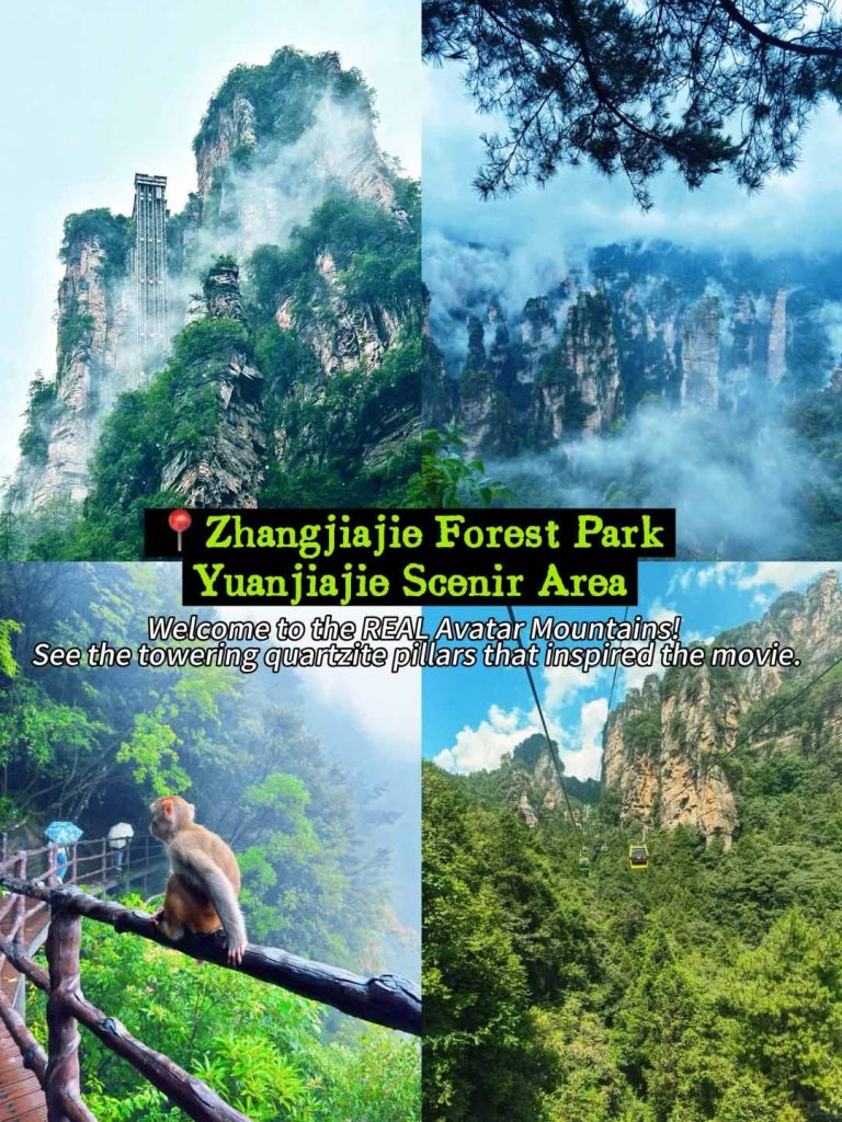 Zhangjiajie National forest park