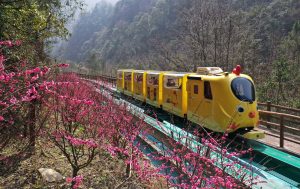 张家界十里画廊春天花海