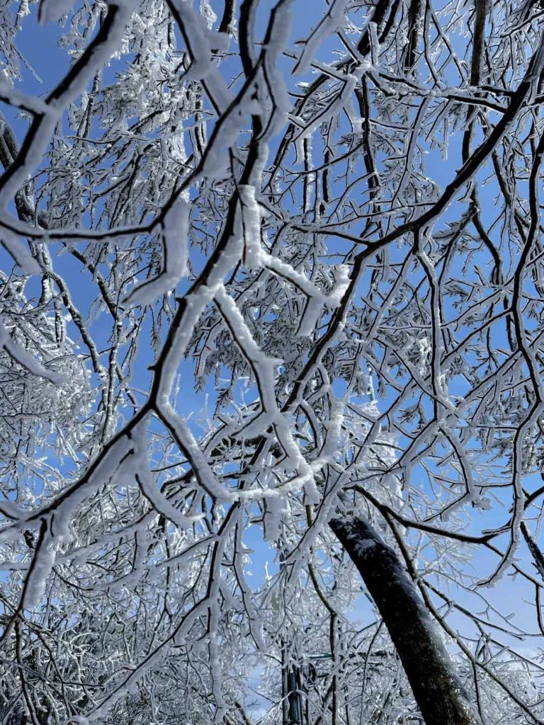 张家界雪后雾凇