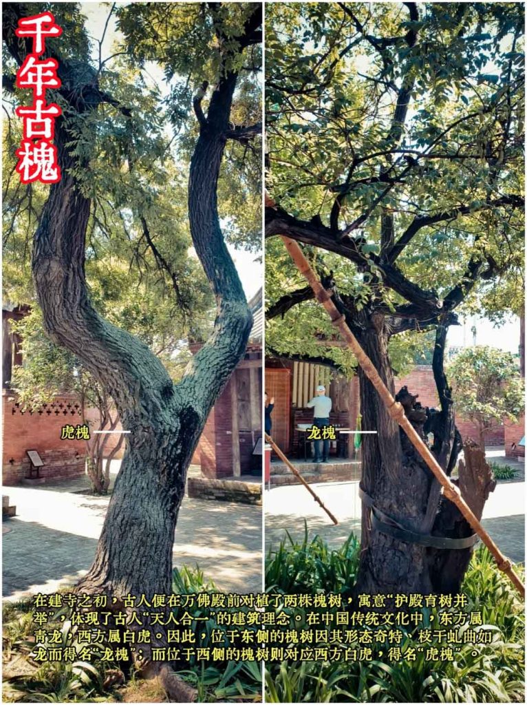 山西平遥镇国寺