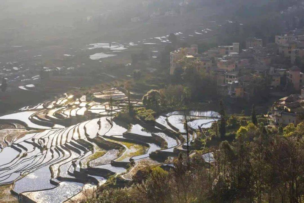 雲南·元陽梯田