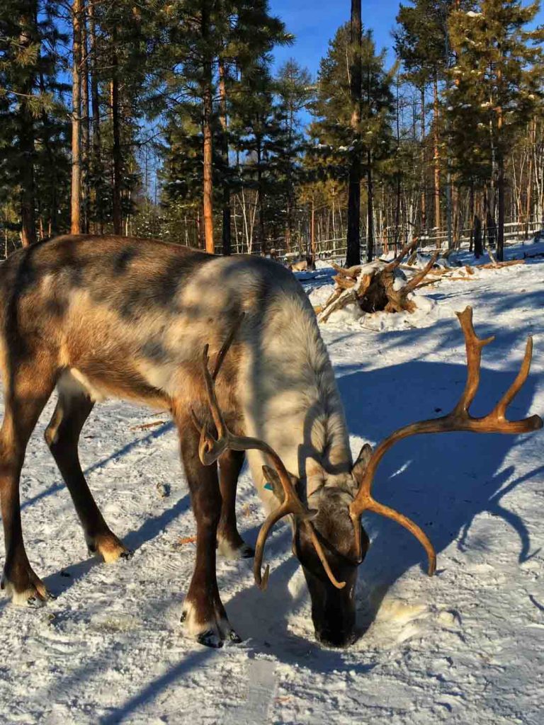 遇见美好号东北游景点