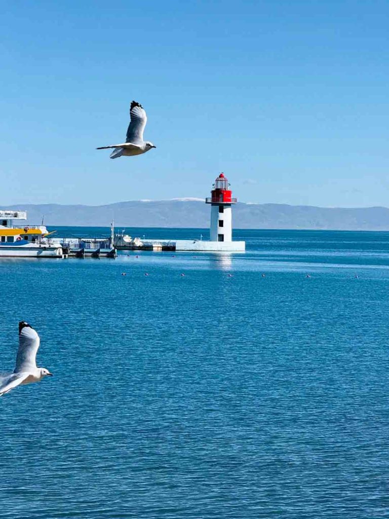晴天的青海湖蓝