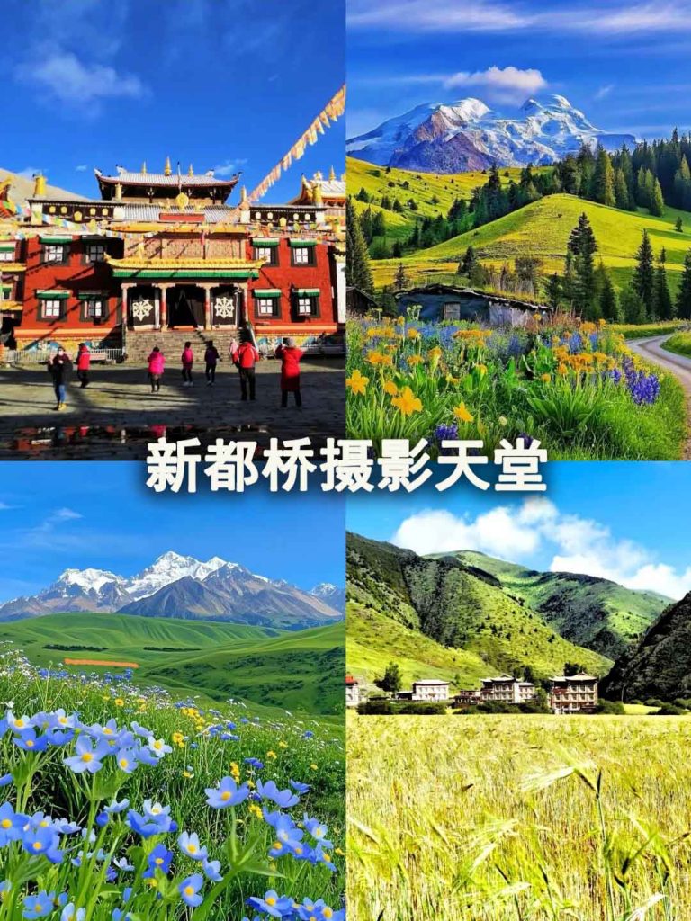 新都桥摄影天堂
