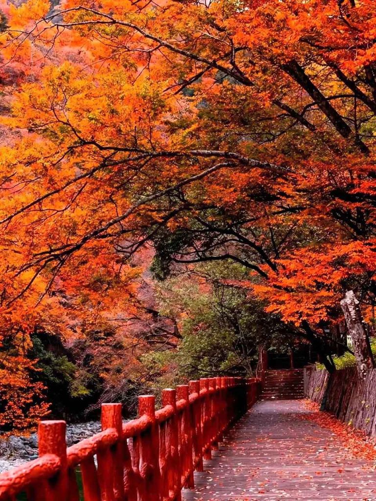 四川光雾山