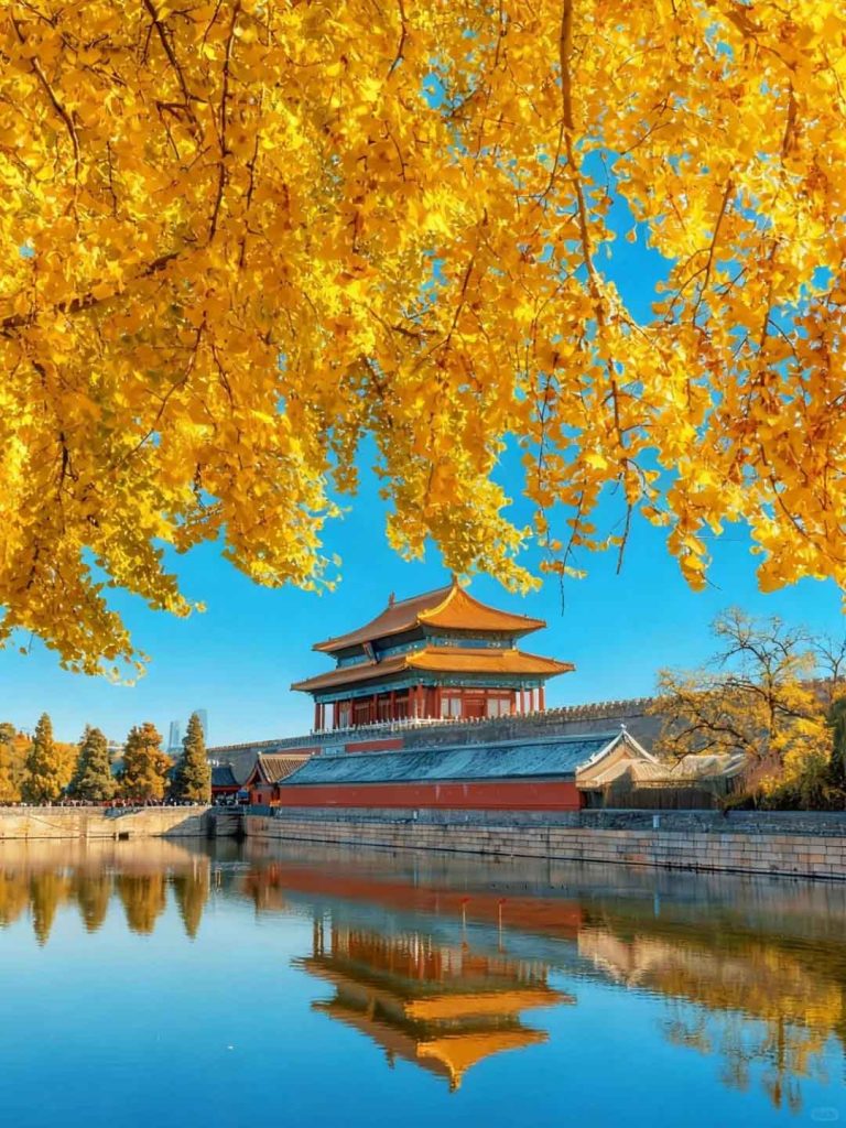 北京故宫秋天