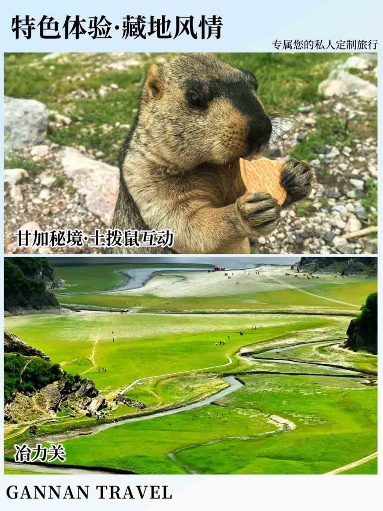 甘南特色藏地风情