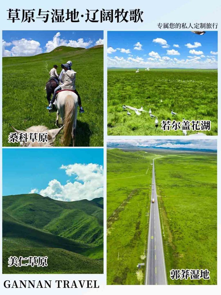 甘南草原湿地